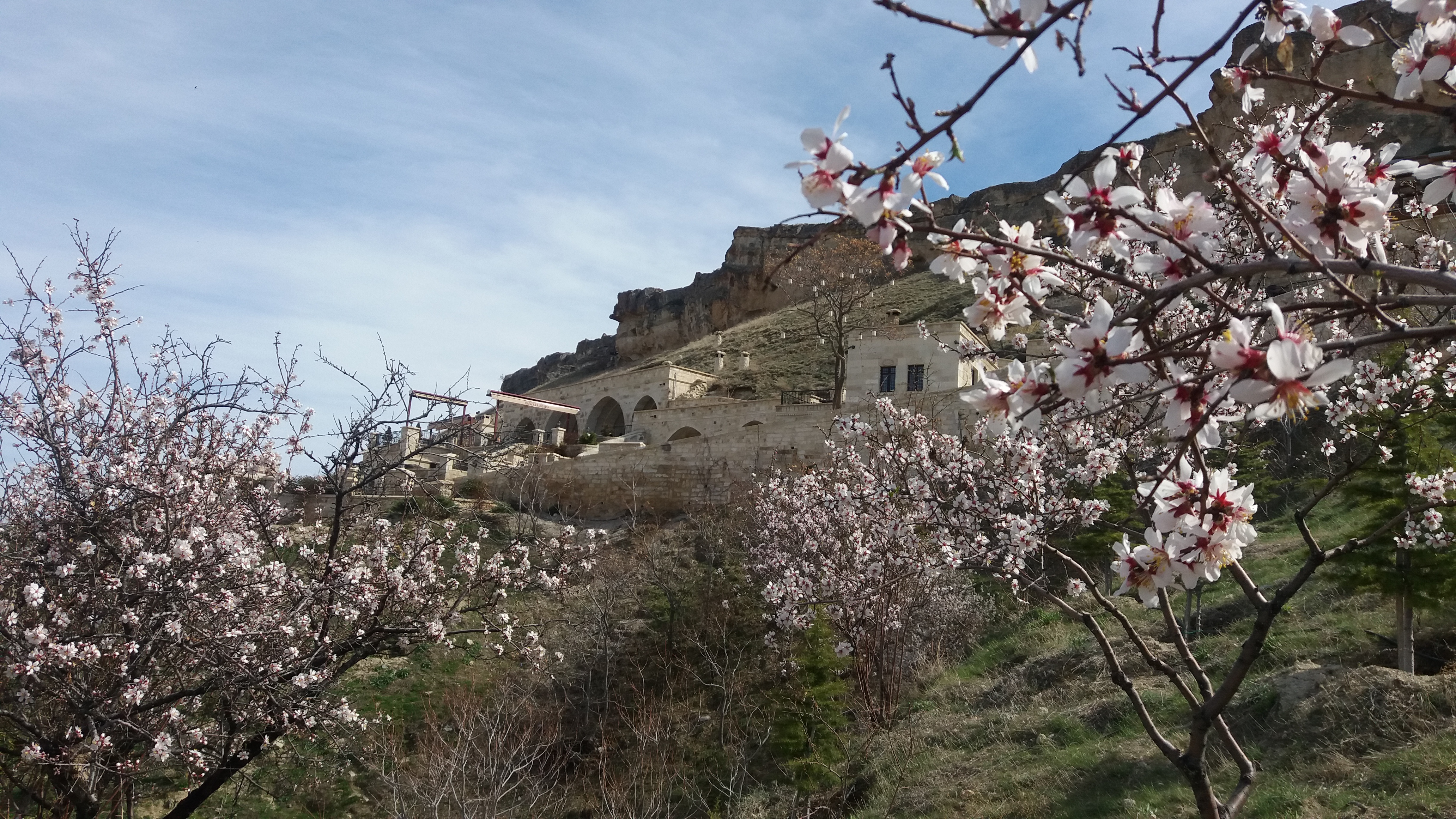 20170404_150428